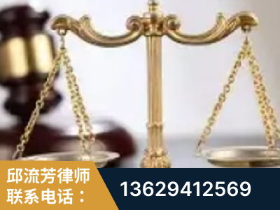 广州-委托诉讼代理人出庭